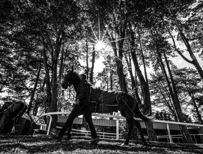 Black and white image of horse and groom