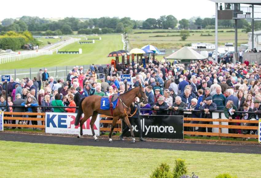 Horse in parade ring surrounded by huge crowds at Roscommon