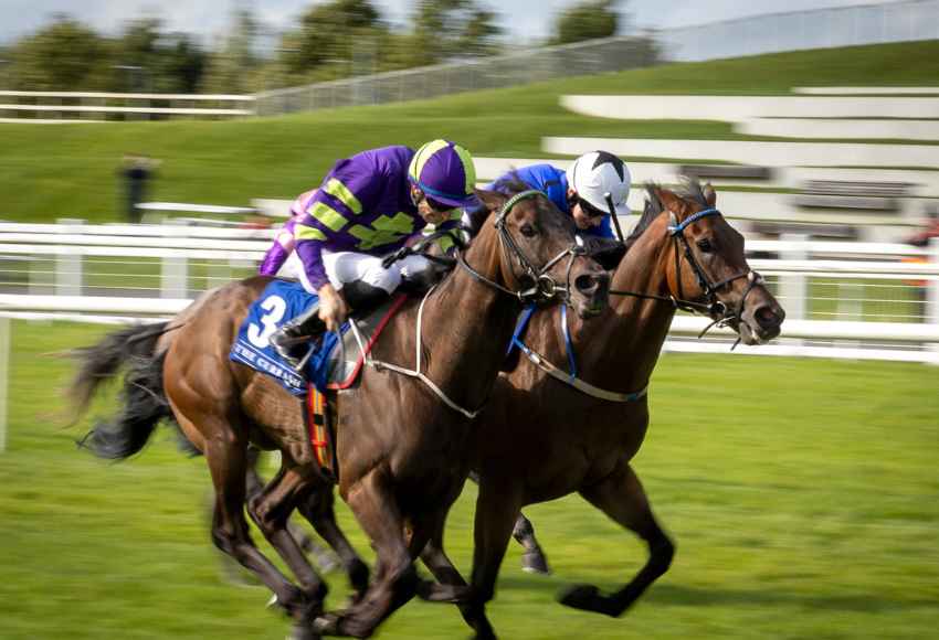 Two horses battling it out on the home stretch