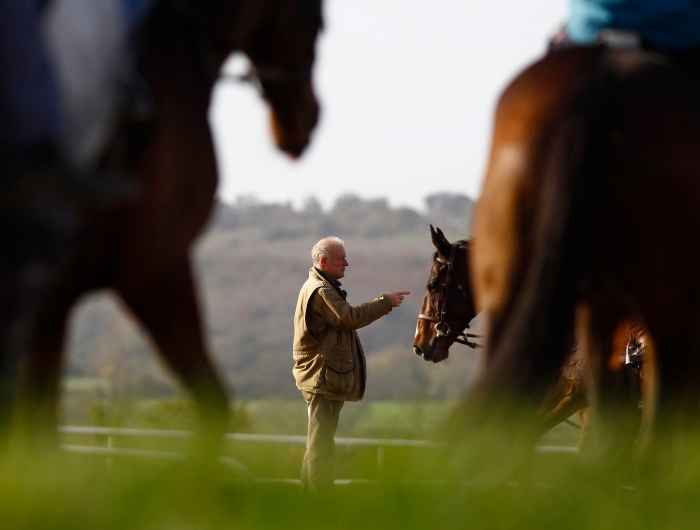 Horses out in paddock grazing