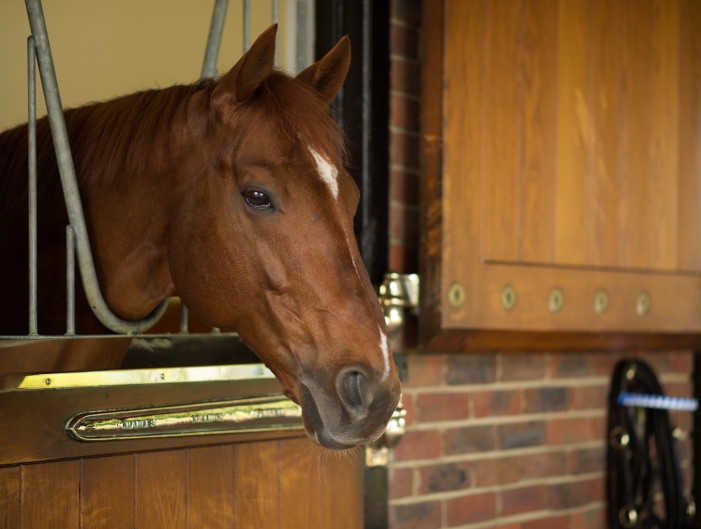 New Approach relaxing in the stable 