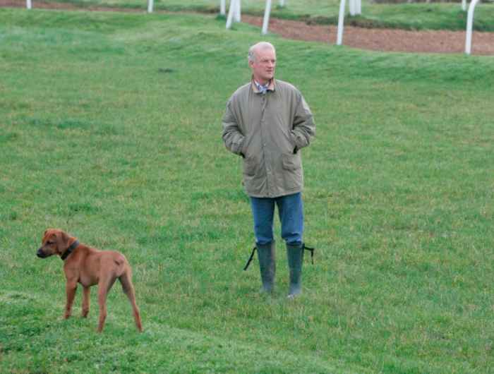 Willie Mullins watching the gallops