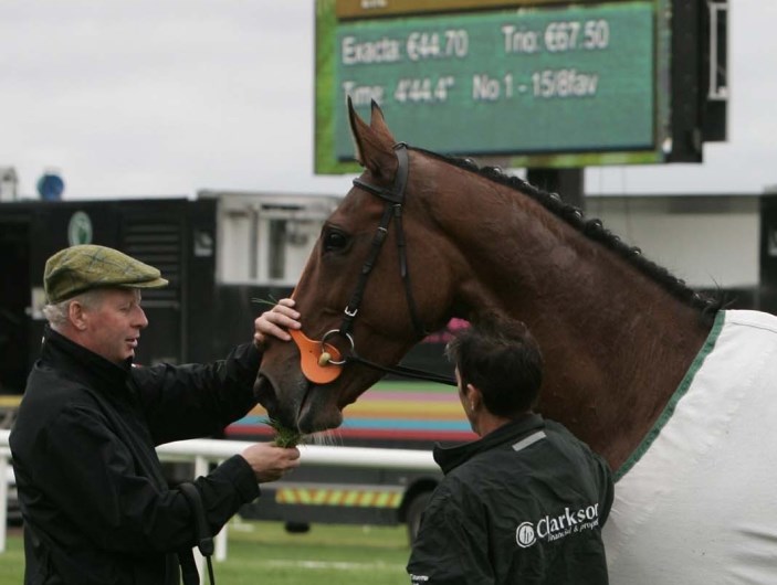 Kicking King back in the parade ring 