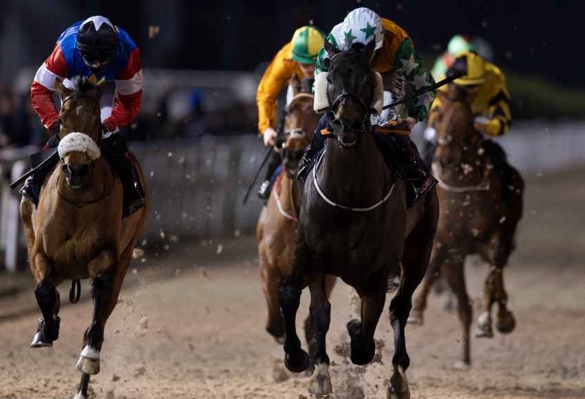 Horses battling it out on the home stretch at Dundalk all-weather track