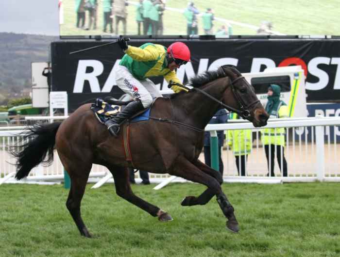 Sizing John running at the racetrack