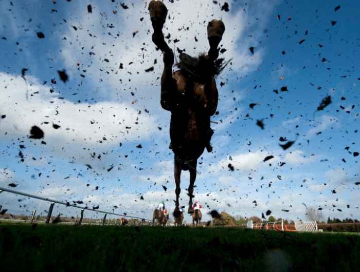 Image from underneath of a horse jumping over a hurdle with muck rising