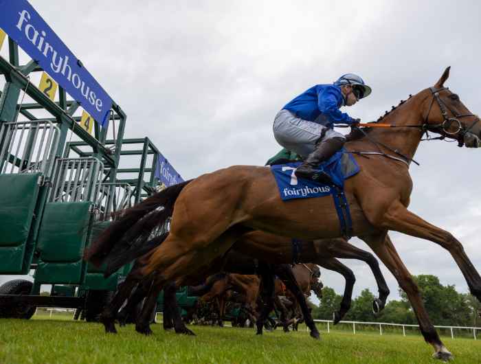 Zoomed in image of horse bursting out of stalls