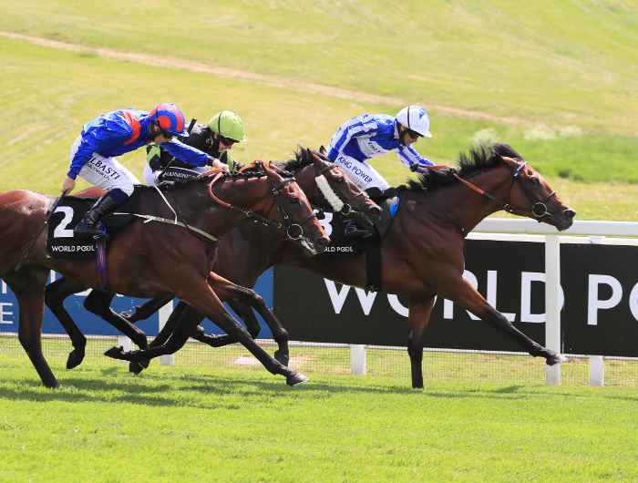 Horses battling it out on the home stretch with World Pool signage