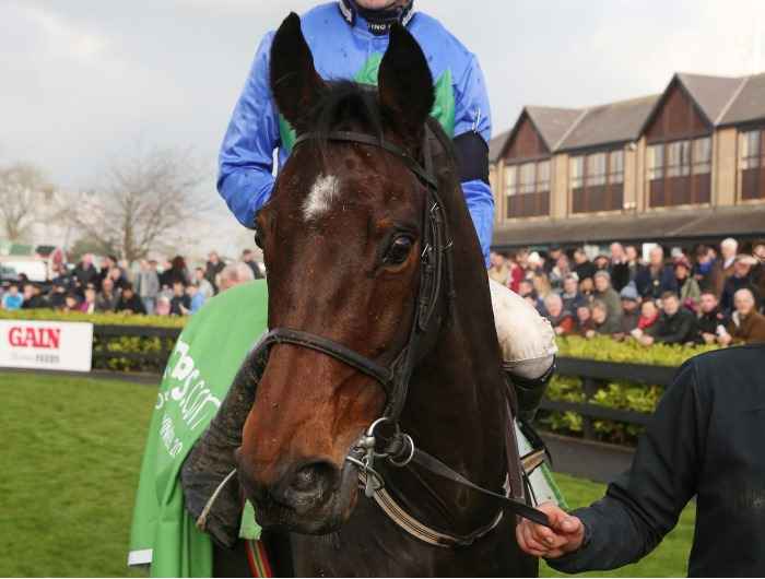 Hurricane Fly 2013 at Punchestown 