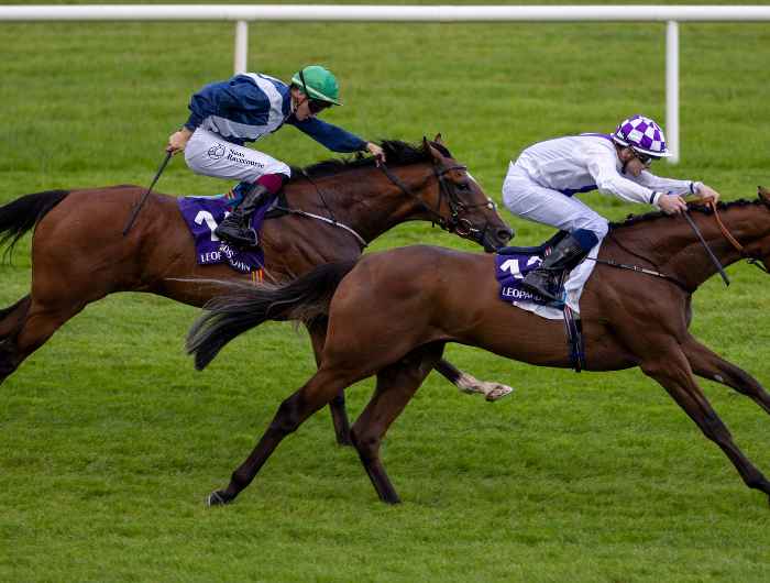 Two horses racing on the track at Leopardstown 