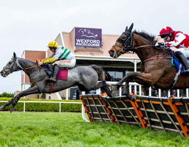 Horses running in the final stretch at Wexford racecourse